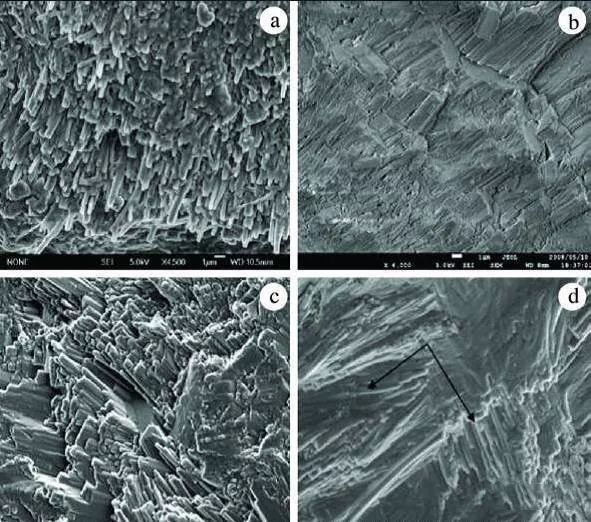 顯微鏡.png 顯微鏡.png