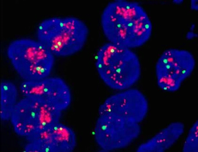 顯微鏡廠家.png 顯微鏡廠家.png