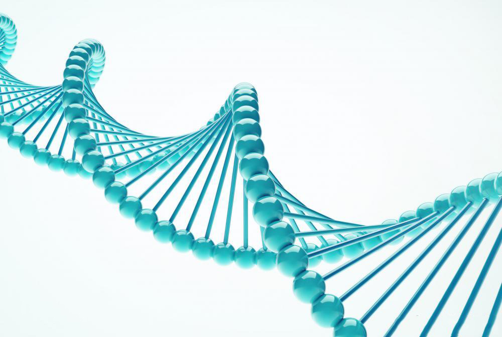 顯微鏡.jpg 顯微鏡.jpg