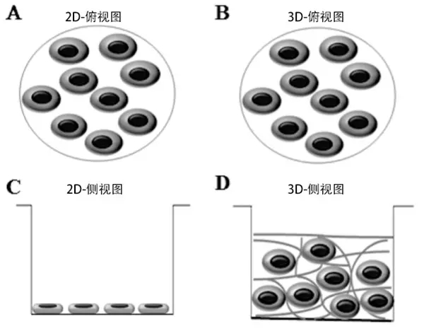 顯微鏡.jpg 顯微鏡.jpg