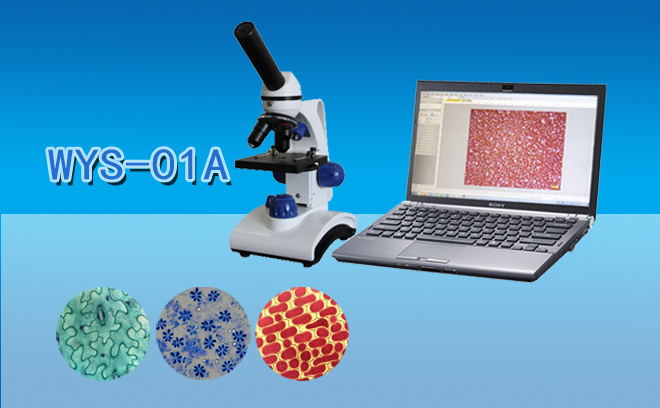 生物顯微鏡.jpg 生物顯微鏡.jpg