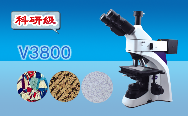 1667800168149327.png 顯微鏡.png