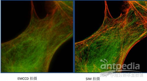 1682390820489454.png 1682390820489454.png