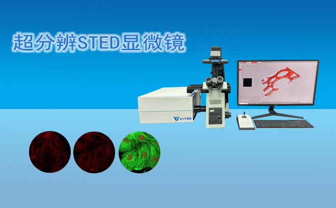 超分辨STED顯微鏡.jpg