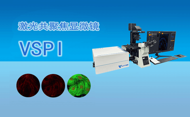 激光共聚焦顯微鏡VSPI.png